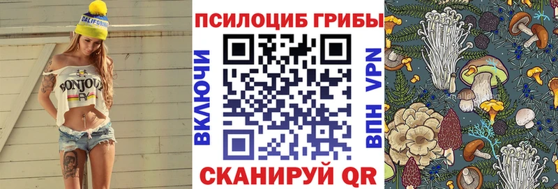 Галлюциногенные грибы MAGIC MUSHROOMS  Новая Ладога 
