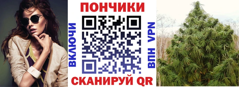 как найти   Новая Ладога  mega маркетплейс  Шишки марихуана LSD WEED 